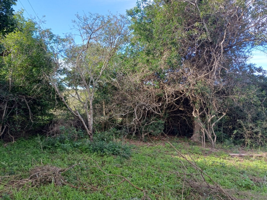 0 Bedroom Property for Sale in Bathurst Eastern Cape